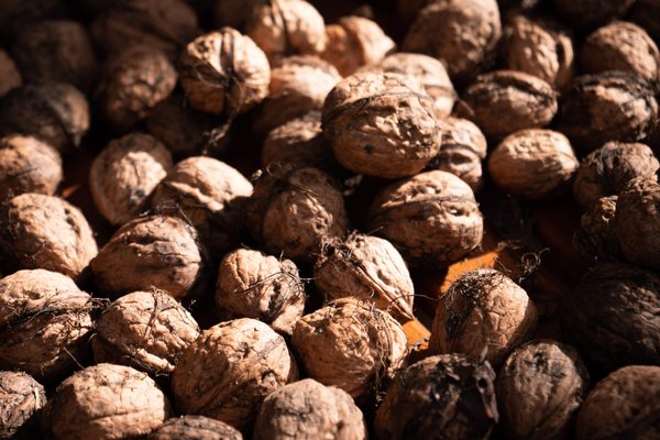 Les bienfaits des noix et comment les intégrer dans vos repas