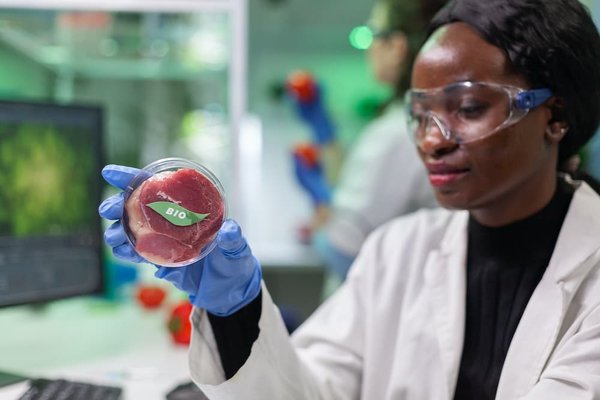 les restaurants offrant des plats végétariens créatifs et innovants