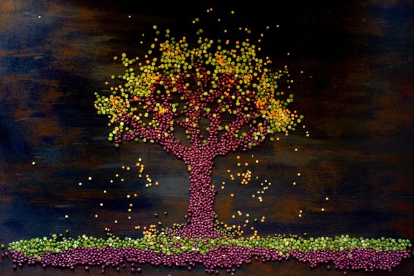 Les indispensables pour une cuisine végétarienne efficace