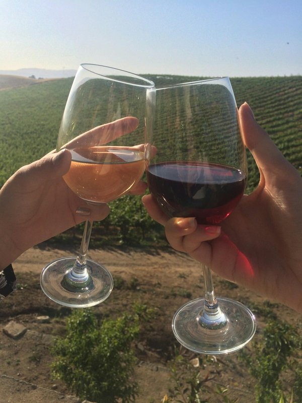 Découvrez le Château Lagrange, vin de Saint-Julien