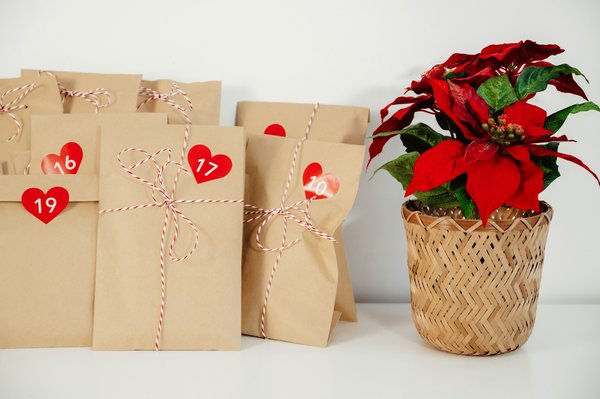 Calendrier de l'Avent Flakon : plongez dans l'univers œnologique